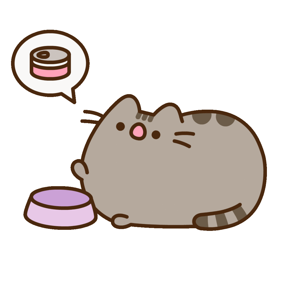 Cat 2