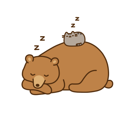 Cat 3